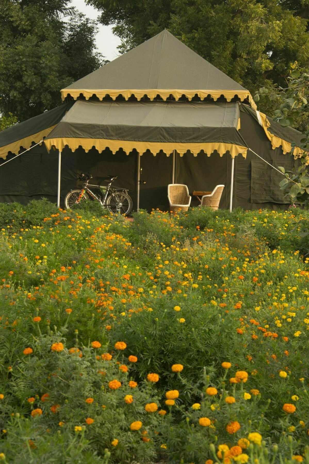 Orchard Tents & Tranquility Pushkar Luaran gambar
